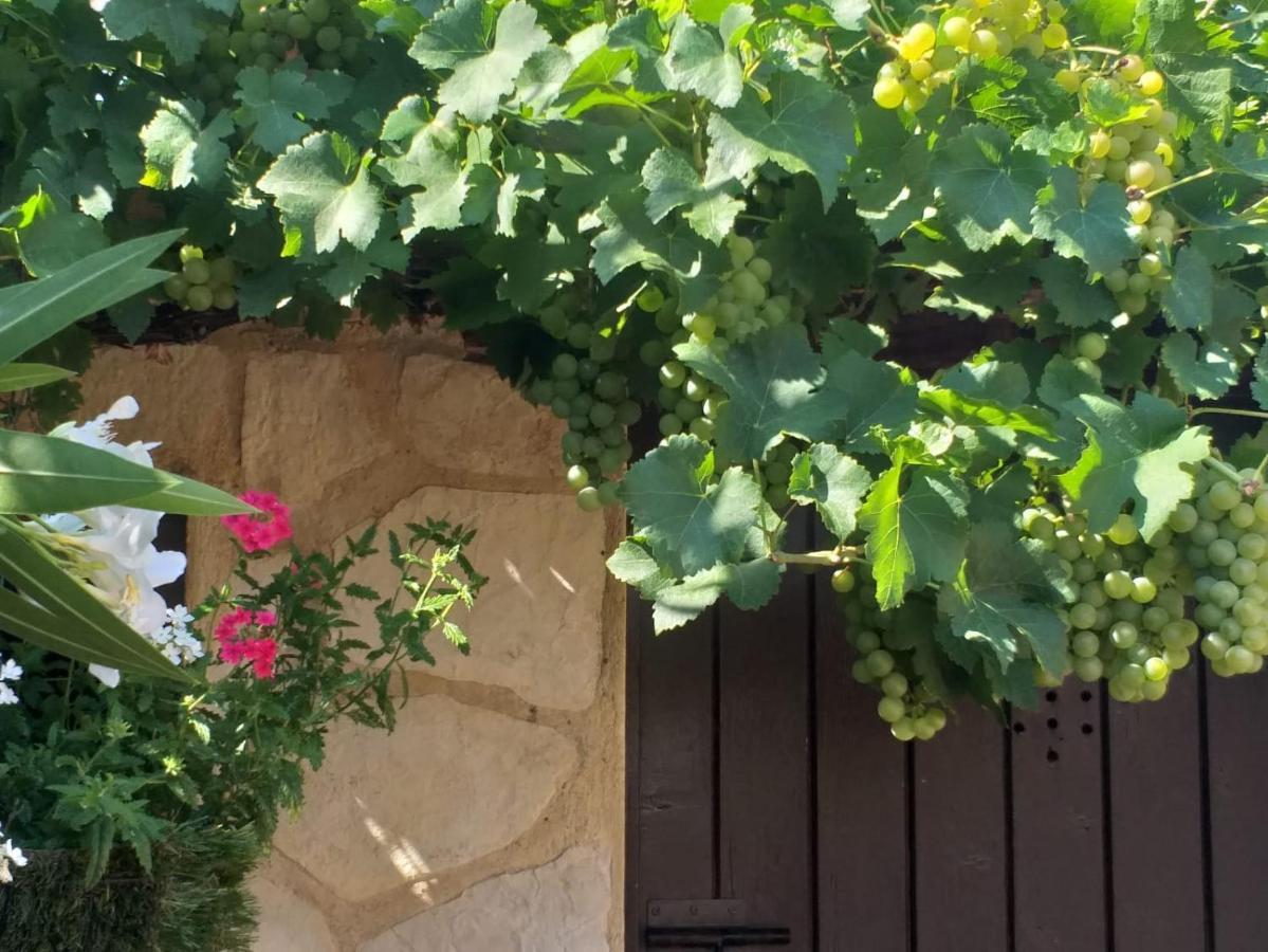 Lou Bagnou Mi-Clos Bagnols-sur-Cèze Екстериор снимка