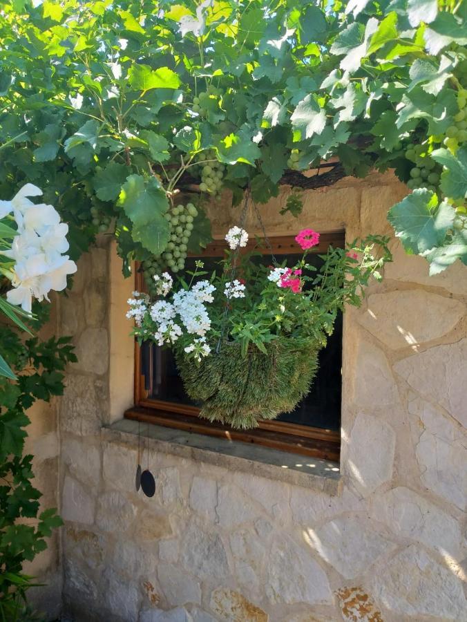 Lou Bagnou Mi-Clos Bagnols-sur-Cèze Екстериор снимка